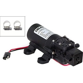 Delavan 2200-301 PowerFlo 12V Demand Diaphragm Pump with 2 Hose Clamps (Bundle, 3 Items)