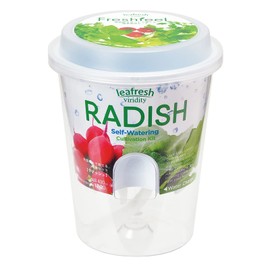 Seishin Pottery GD-81901 Household Garden Easy Cultivation Kit, Radish, Indoor, Herb, Vegetables, Cultivation Set, Approx. 4.3 inches (11 cm), Fresh Feel, Mother's Day, Gift, Birthday