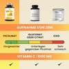 Vitamin C 1000 mg + Zinc Picolinate (Zinc Chelate) 50