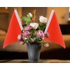 DS. DISTINCTIVE STYLE Small Flags 25 Pieces Mini Handheld Flags