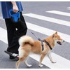 ChiLand-Chi Correa Retráctil para Perros de 5 Metros - Mango