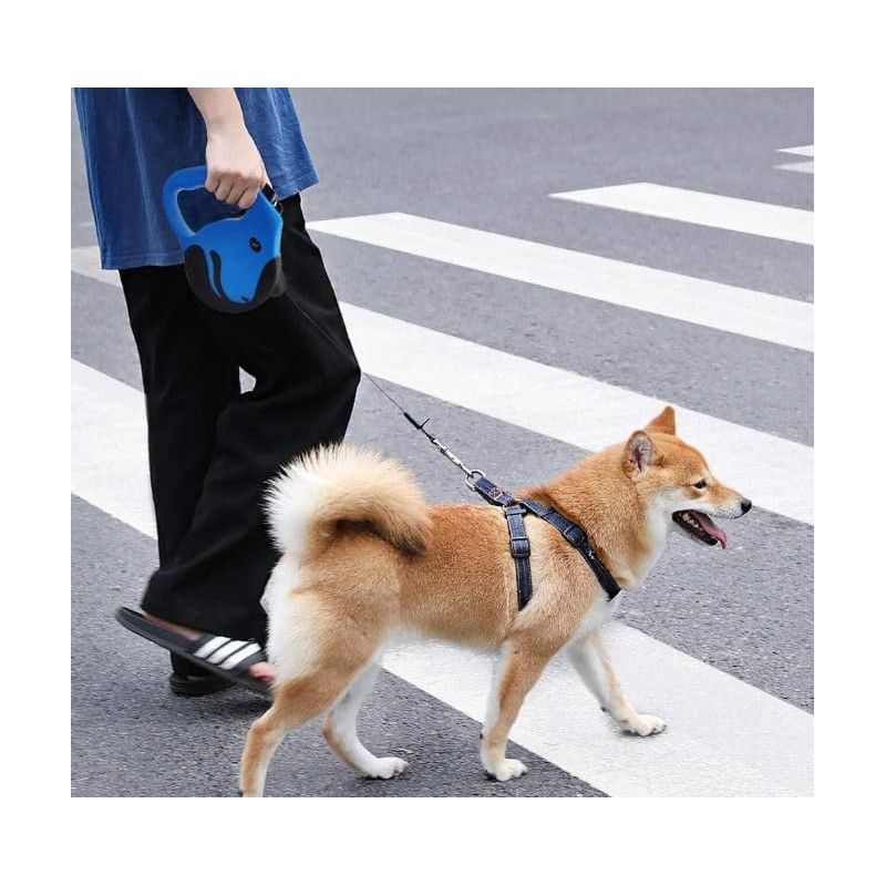 ChiLand-Chi Correa Retráctil para Perros de 5 Metros - Mango
