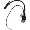 Ignition Coil Module For Cummins Onan HomeSite Power 6500 Generators