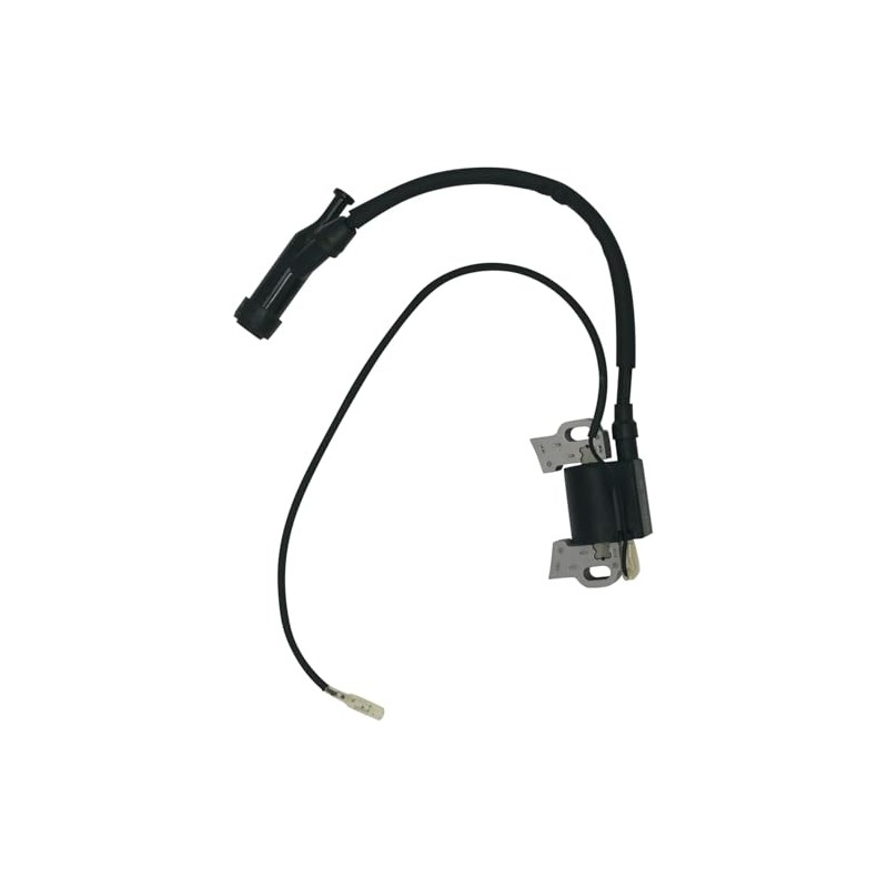 Ignition Coil Module For Cummins Onan HomeSite Power 6500 Generators