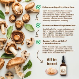 FUNGISIP Lion's Mane Tincture – Organic Mushroom Extract, Boost Focus & Mental Clarity, High Potency