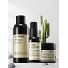 [Skin 3 SET] Suavis Basic Lotion Care 3-piece Set [For Dry Skin] (Essence + Toner + Cream) / [스킨 3SET] 수아비스 베이직 로션케어 3종세트 [건성용] (에센스+토너+크림)