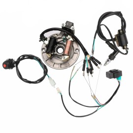 Unbranded Wire Wiring Harness Magneto Stator CRF50 XR70 Lifan SSR 110 125cc Apollo PitBike