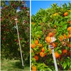 SANLIKE Fruit Picker Pole with Basket 12FT Adjustable Higher Lightweight