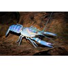 Supreme Freshwater Aquatic Snail Food Mix with Calcium,Bug Sticks,Krill,Spirulina &