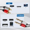 TEKERA Dual 1/4 Inch TS to RCA Stereo Audio Interconnect