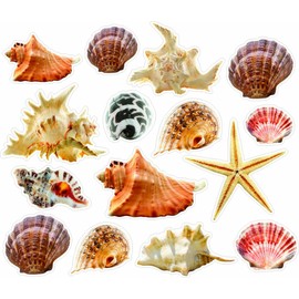 Wall Sticker Seashells and Starfish Colorful Removable and Repositionable Love Ocean Inspired Motivational Cute Wall Vinyl Art Wall Decor Sticker Decal