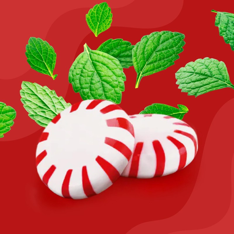 Starlight Peppermint Candy 2lb Bucket - Individually Wrapped Mints for