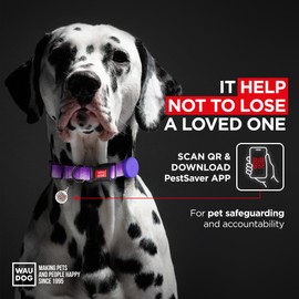 Airtag Dog Collar Nylon Dog Collar with Airtag Holder - Adjustable for Large Dogs, Small & Medium Dogs - Breakaway Puppy Collars for Large Breed Dogs - Boy & Girl Collars