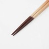 Ishida 63187 Paulownia Box Chopsticks, Couple Chopsticks, Fujimi Sakura, 9.1