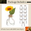 Bokon 12 Pcs 5 Inch Small Plastic Flower Bud Vases