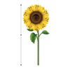 Beistle 52162 Sunflower Cutouts, 3', Multicolor
