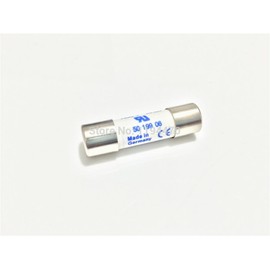 5pcs/Lot Fast Acting Ultra Rapid Ceramic Fuse SIBA 10A 1000V 10x38mm DMI 50 199 06 for Multimeter