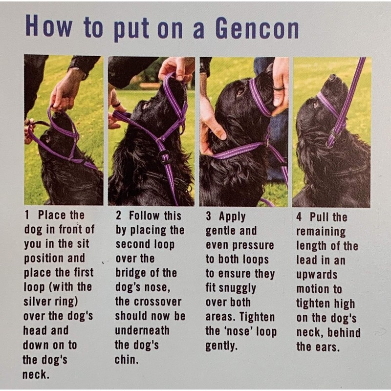 Gencon All-in-1 Headcollar and Lead Right-handed Blue/White