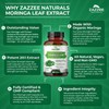 Zazzee Organic Moringa 20:1 Extract, 20,000 mg Strength, 180 Vegan