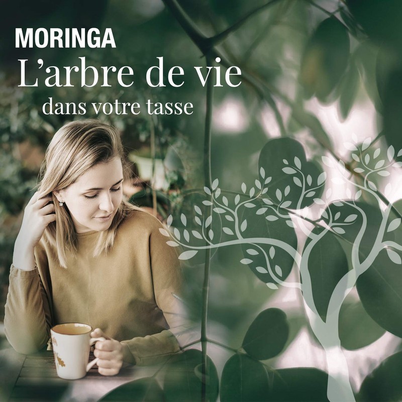 ORIGEENS MORINGA TEA ORGANIC 100g | DRIED MORINGA LEAVES |