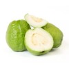 Guava Tree With Pot 10”Tropical Live Plant White Guava Fruit