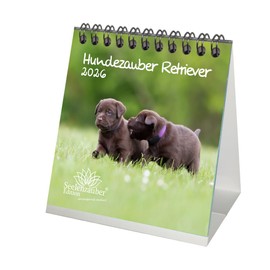 Dog Magic Retriever Desk Calendar 10 cm x 10 cm for 2026 Puppies and Dogs Set Contents: 1 x Calendar, 1 x Christmas Pendant, 1 x Greeting Tag (Total 3 Pieces)