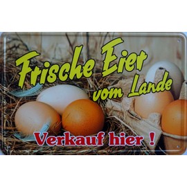 Tin Sign 20 x 30 cm – Fresh Eggs from Lande Verkauf hier Chicken Hahn Bauenhof Hofladen Organic