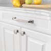 Amerdeco 10-Pack Brushed Satin Nickel Cabinet Knobs & Pulls -