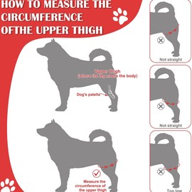 ZJchao Dog Elbow Protector Pads for Canine Elbow and Shoulder Support Elbow for Dysplasia, Osteoarthritis, Elbow Calluses, and Shoulder Dislocation, Small Medium Dogs (Black)