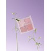 B of Mix Match Cheek Palette (Rose Garden Mob Garden)