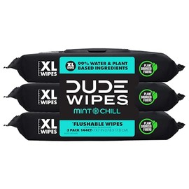 DUDE Wipes Mint Chill Extra-Large Flushable Wipes - 3 Pack