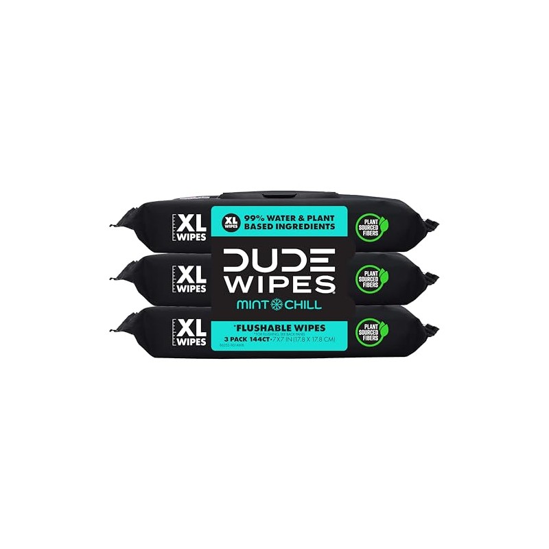 DUDE Wipes Mint Chill Extra-Large Flushable Wipes - 3 Pack