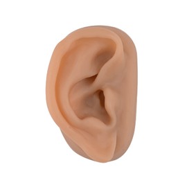SimCoach Modelo de oreja de acupuntura, réplica de oreja artificial derecha para enseñanza de terapia auricular, práctica de perforación, audífonos, exhibición de joyas (café)