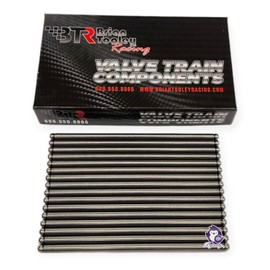 Dynosty Brian Tooley BTR - Varillas de empuje de repuesto para GM LS 4.8 5.3 5.7 6.0 LS2 LS3 L92 L99 LQ4 LQ9                                          
