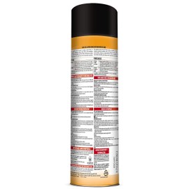 Spectracide Weed & Grass Foaming Edger (17 oz), 1 Count
