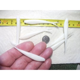 thesportsmaster23 60-3"-crappie bass-panfish-minnows-jigs-grubs-drop shot-split tails-flukes-scent