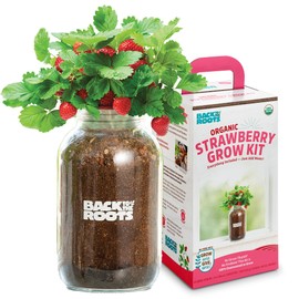 Back to the Roots Organic Strawberry Grow Kit — Grows Year Round, Includes Everything Needed for Planting