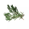 La Perfumm Aceite Esencial De Romero 15 Ml Natural 100%
