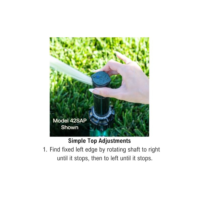 Rain Bird 42SASPG Gear Drive Rotor Sprinkler with Adjustable Spray