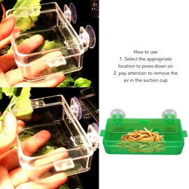 Reptile Feeding Food Water Bowl, Sturdy High Hardness Wall Mounted Green Removable Suction Cup Reptile Feeder Escape Proof for Bearded Dragon for Lizard (L)