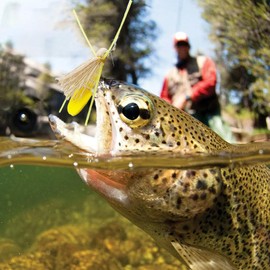 Fly Fishing Bait - 5X Realistic Locust Fishing Bait Fishing Lures | Bass Lure Kit Fake Bait Fly Hook Fishing Accessories for Bass Pike Walleye Trout Lake Pond Freshwater