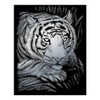 Royal Brush Silver Foil Engraving Art Kit 8"X10"-White Tiger