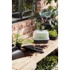 Elho Green Basics Propagation Bowl S – Vivid Black –