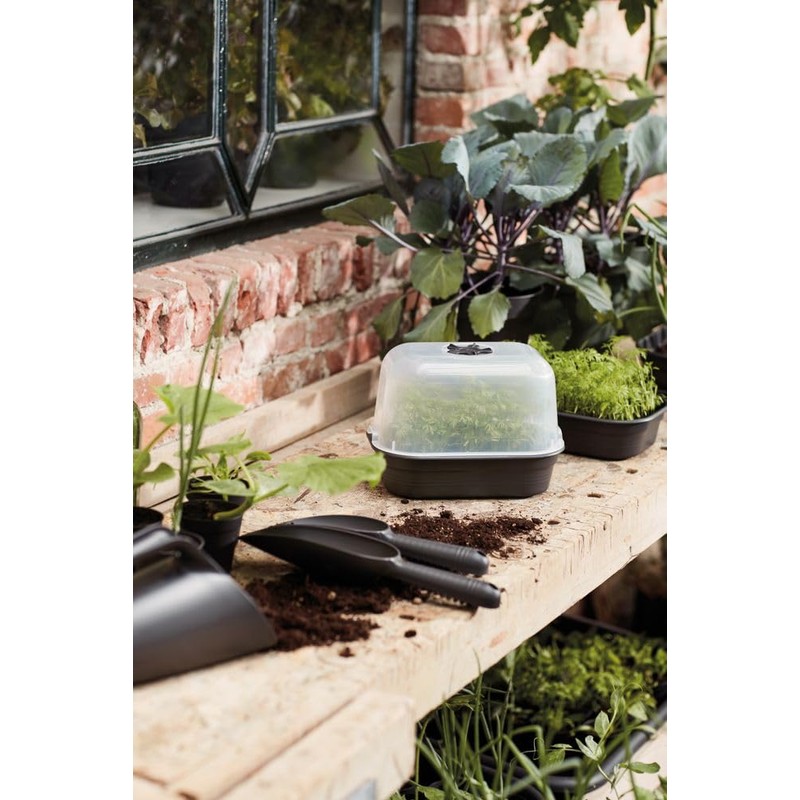 Elho Green Basics Propagation Bowl S – Vivid Black –