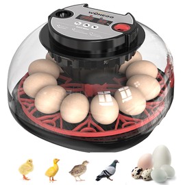Skimzy Egg Incubator with Automatic Turning & Humidity Control, Digital Egg Hatching Machine for Chicken, Duck, Goose, Pigeon, Quail, Parrot – Ideal for Farm, Home, Lab & Science Classroom (12 Eggs)