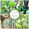 200 Durable Plant Support Clips for Your Garden Needs