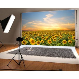 LFEEY 7x5ft Vinyl Sunflowers Field Backdrops for Photography Background Summer Landscape Sunset Blue Sky Outdoor Holiday Party Backdrop Children Adults Portraits Photo Studio