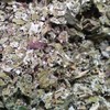 Raspberry Leaf Herbal Tea 1.8 oz (50 g)