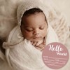 Hello World Newborn Sign - Baby Name Birth Announcement Plaque