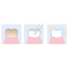 BIKEN Corporation Pearl White Tooth Glow